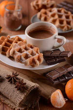 waffles with chocolate with ingredients aroundの写真素材