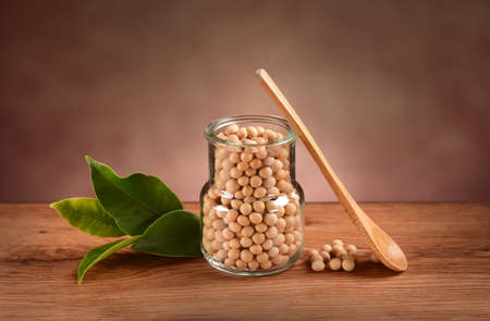 soya beans in glass jarの写真素材