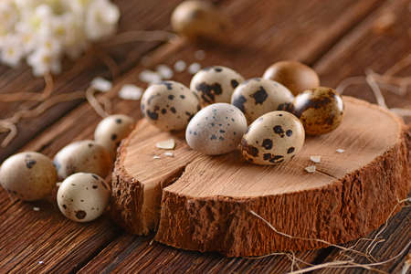 fresh quail eggs on the wooden tableの写真素材