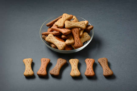 dog biscuits in the shape of bones.の写真素材