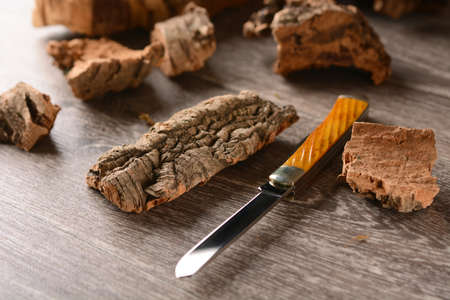 Bark of cork on the table with the knife - closeupの写真素材