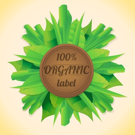 green leaves labelのイラスト素材