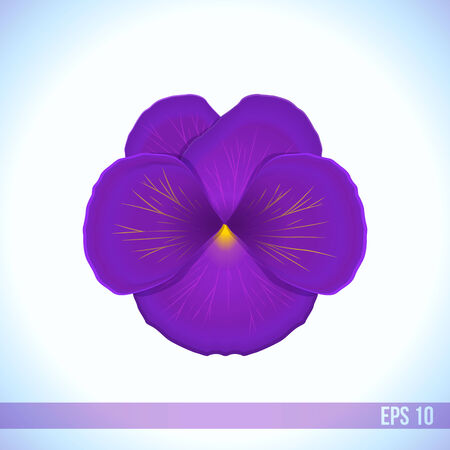 vector head of violet viola flowerのイラスト素材