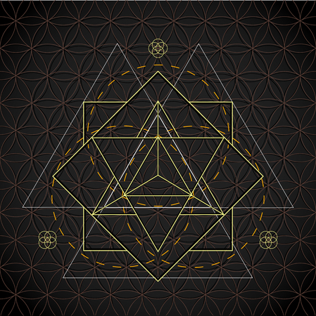 vector merkaba light contour monochrome sacred geometry decoration flower of life circle isolated dark backgroundのイラスト素材