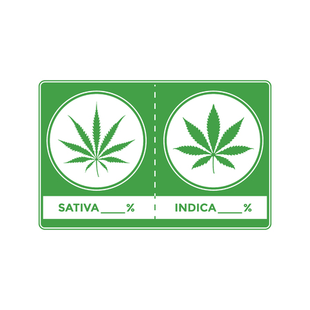Vector flat design green colored marijuana sativa indica percent ratio leaf green sign illustration icon labelのイラスト素材