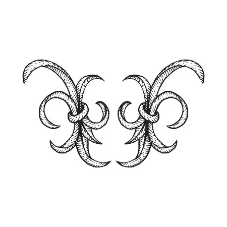 vector blackwork tattoo hand drawn engraving vintage baroque ornament illustration decoration isolated backgroundのイラスト素材