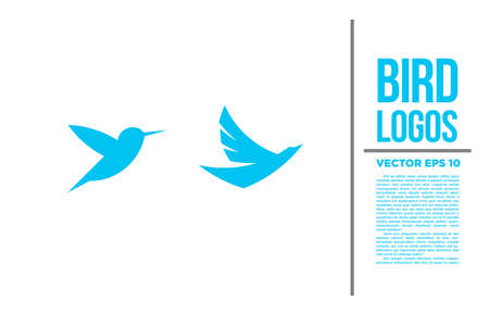 Bird Blue Tiny  vector  illustrationのイラスト素材