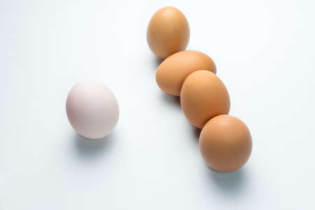 Egg line on white background