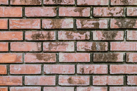 Red brick wall texture backgroundの写真素材