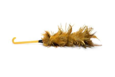 Feather duster for cleaning isolated on white backgroundの写真素材
