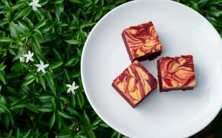 Red velvet cream cheese brownies on white dish