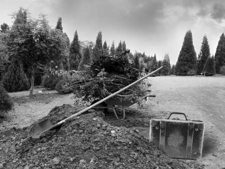 Wheelbarrow with garden waste on the land at a park with shovel and vintage suitcase standing nearby. Photo in black and white color style.の写真素材