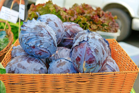 Fresh red/purple cabbage on display at the local farmers marketの写真素材