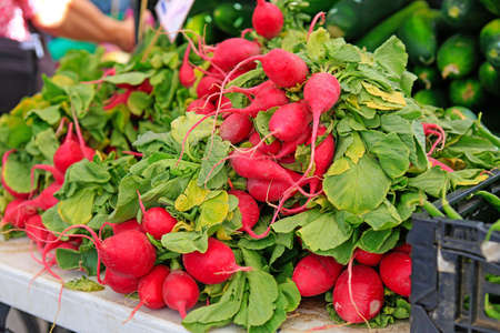 Organically grown radish on sale at the local farmers' marketの写真素材