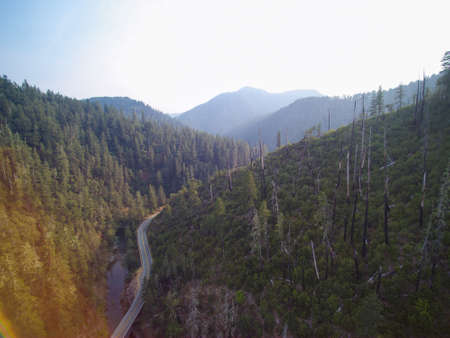 Aerial view of Mountain road with forested hills, fire burned dead trees along a narrow river.