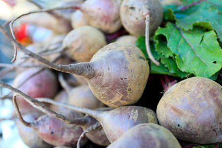 Close up of fresh organic beet on sale at the local farmers market