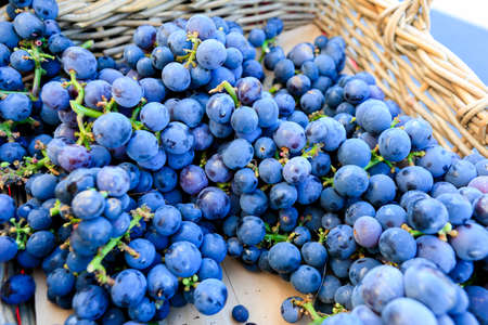 Bunches of red wine organic grapes for sale at a Farmer's Market