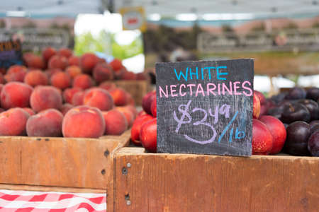 Farmers Market in Bellevue. White nectarines stall with price signの写真素材