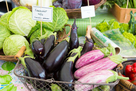 Variety of fresh organic eggplants at the farmers market. Traditional black Italian type and white...