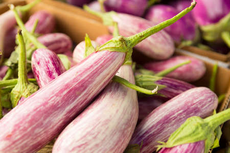 Closeup view of fresh organic  white purple striped eggplants at the farmers market.の写真素材