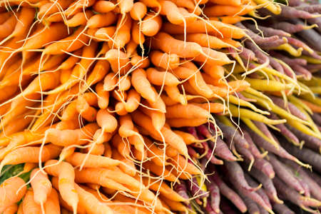 Freshly picked carrots on a farmers market stand. Organically grown  ecological vegetarian healthy food.の写真素材
