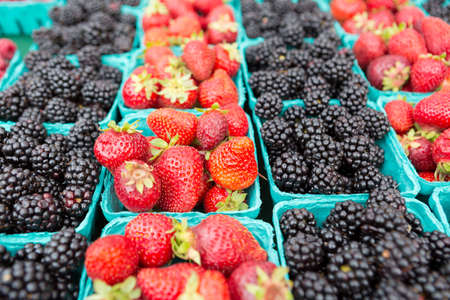 Fresh Organically grown blackberries and strawberries for sale at the farmers' market.の写真素材