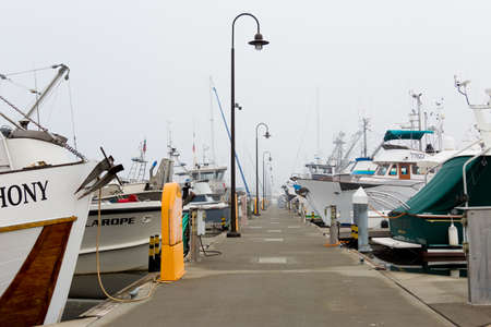 SEATTLE, WA - OCTOBER 28, 2017: Rowing boats tied to a jetty on a foggy morning at Fishermen's Terminal in Seattle, WA.のeditorial素材
