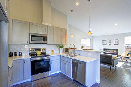 Light grey kitchen room interior with vaulted ceiling, grey cabinetry and stainless steel appliances. の写真素材