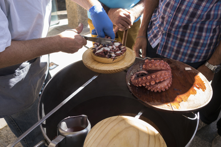 Serving octopusの写真素材