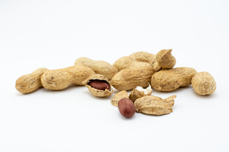Group of peanuts isolated on white backgroundの写真素材