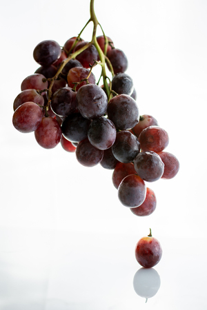 Red grape cluster isolated on white backgroundの写真素材