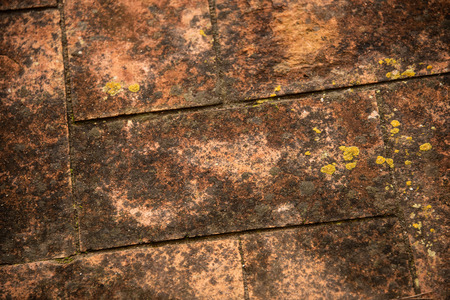 Detail of a old floor with mossの写真素材