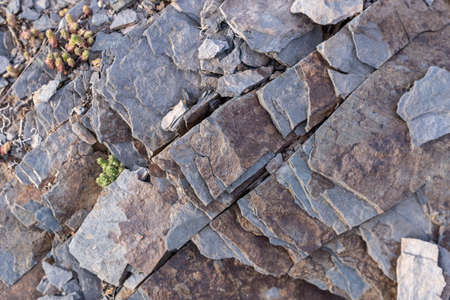 Textured background of pieces of slate stone with gray and brown colorsの写真素材