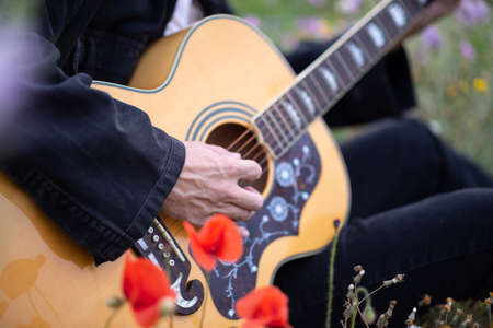 Person playing music with acoustic guitar in the middle of the field, surrounded by green plants and flowersの写真素材