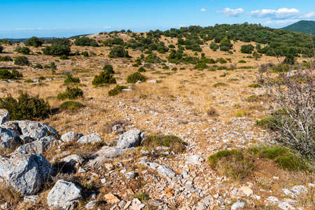 Landscape at the top of the mountain on a summer day with vegetation and trees and rocks with bright blue sky in Catalonia, Spainの写真素材