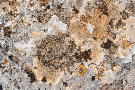 Flat textured stone background with different gray and white tones in the middle of nature illuminated with sunlightの写真素材