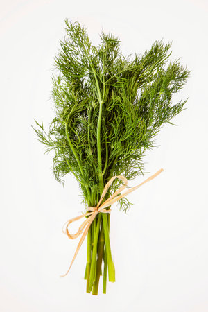 bunch of fresh dillの写真素材