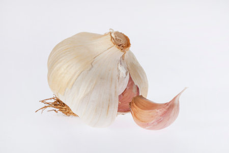 Heads of garlic whole or with clovesの写真素材