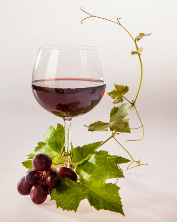 Sauser, low alcohol sparkling wineの写真素材