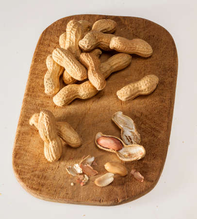 Spagnolette with shell (dried fruit)の写真素材