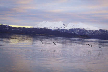 Sunset over the bay with birds flying and a reflection of the sun on the water