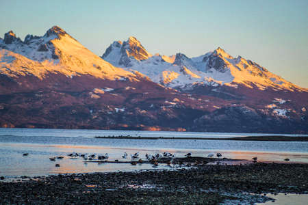 Landscape of mountains with their snowy peaks next to a group of seagulls in the lakeの写真素材