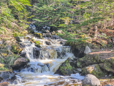 Small waterfall hidden in the forestの写真素材