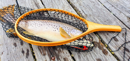 Patagonian trout fishing in the southern lakesの写真素材