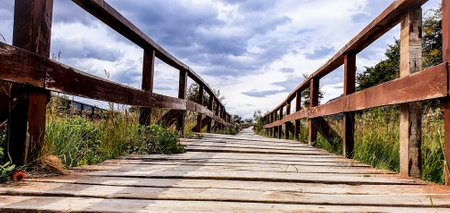 natural environment wooden path leading to a viewpoint