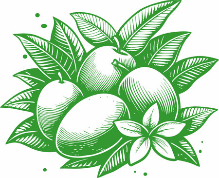 Mango fruits with leaves. Vector illustration ready for vinyl cutting.のイラスト素材