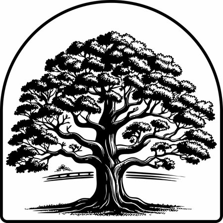 Old oak tree. Black and white vector illustration for your design.のイラスト素材