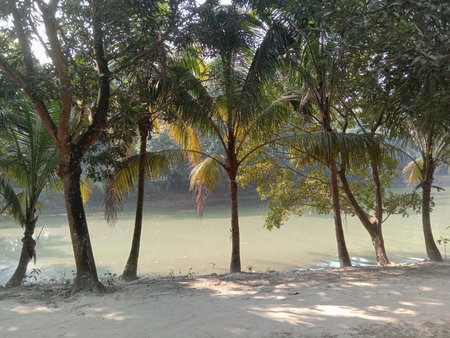 A serene landscape featuring several trees standing along the edge of a calm river. The trees have...