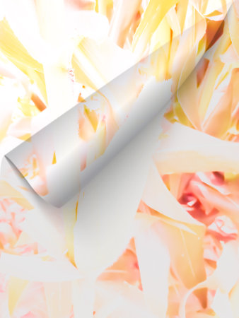 Abstract colorful background natural beautiful