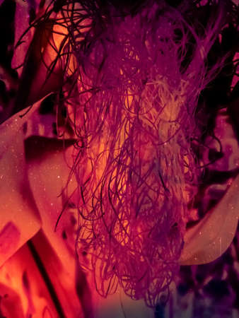 colorful abstract background beautiful wallpaperの写真素材